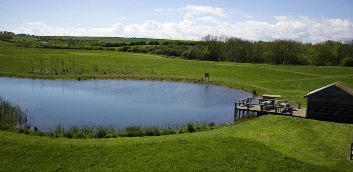 The Bay, Filey, Moonshine Cottage Екстер'єр фото